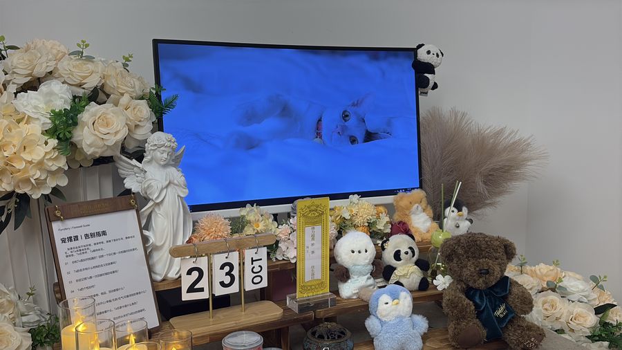 写给它的信