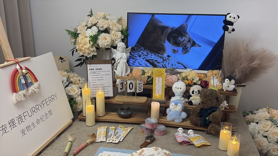 宠物告别仪式参考：西安版流程单与准备清单
